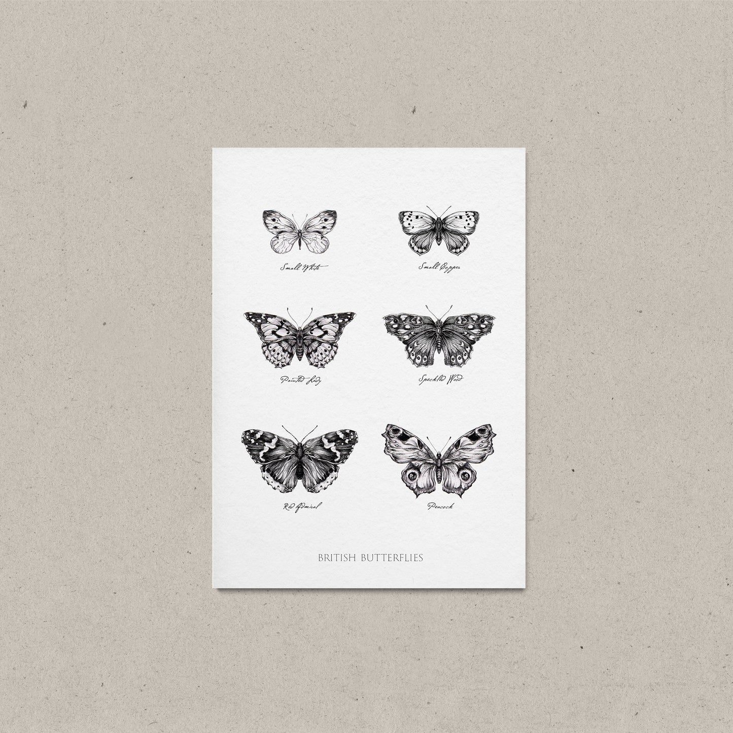 Framed vintage-style British butterflies print featuring six detailed black and white illustrations of native butterfly species, including Small Tortoiseshell, Small Skipper, Peacock, Speckled Wood, Red Admiral, and Peacock. Displayed in a natural wood frame with neutral linen backdrop, perfect for rustic, cottagecore, or nature-inspired home decor gift