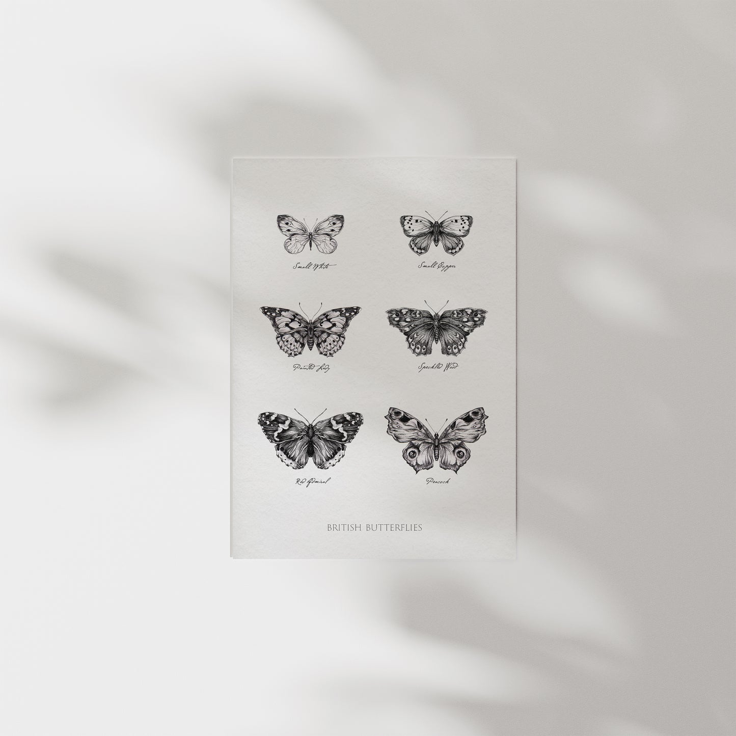 Framed vintage-style British butterflies print featuring six detailed black and white illustrations of native butterfly species, including Small Tortoiseshell, Small Skipper, Peacock, Speckled Wood, Red Admiral, and Peacock. Displayed in a natural wood frame with neutral linen backdrop, perfect for rustic, cottagecore, or nature-inspired home decor gift
